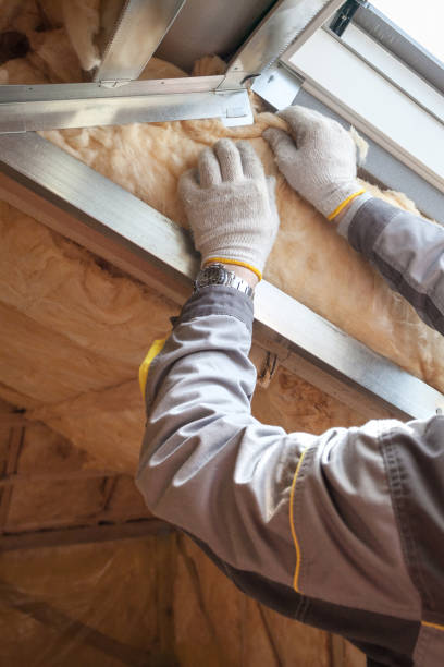 Types of Insulation We Offer in Beach, ND